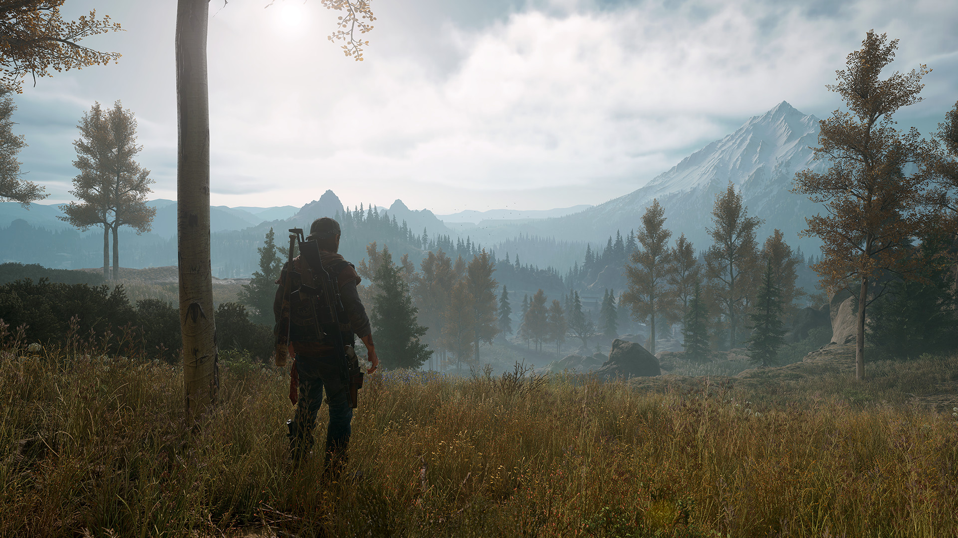 1621348894164220.jpg 往日不再/Days Gone